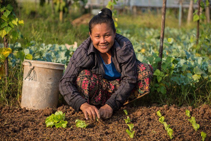 Horticulture & Fruit Farming