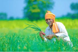 Organic & Eco-Friendly Farming